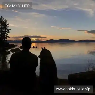 吉秋晔
